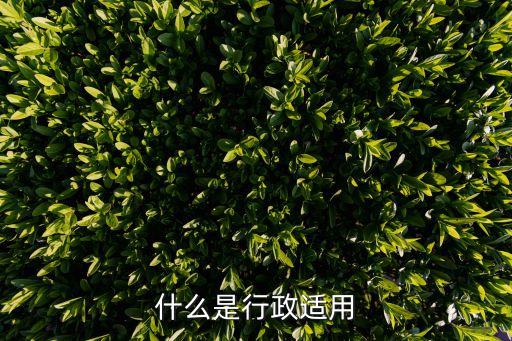 適用的意思，簽訂勞動合同終端類員工適用是什么意思