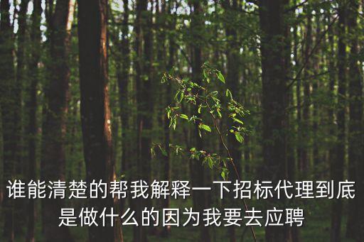 代理是什么工作，代理是什么職位