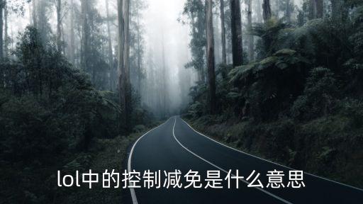 lol中的控制減免是什么意思