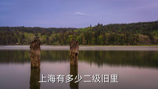 上海有多少二級(jí)舊里