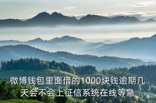 微博錢包里面借的1000塊錢逾期幾天會不會上征信系統(tǒng)在線等急