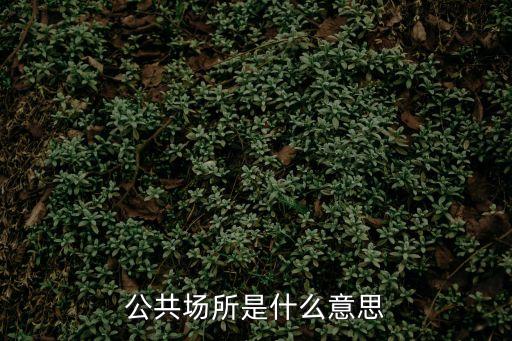 公共場所的定義，公共場合場所的名詞解釋
