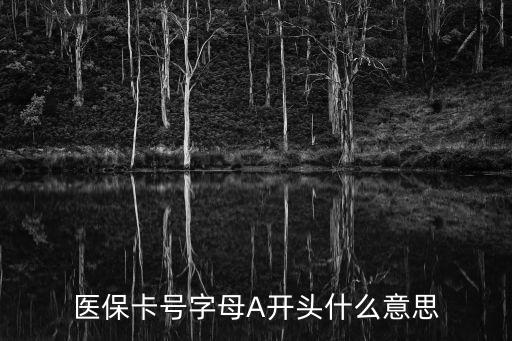 醫(yī)?？ㄌ?hào)，醫(yī)?？ㄌ?hào)字母A開頭什么意思