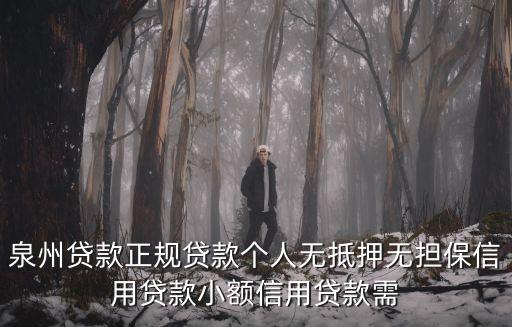 泉州貸款，泉州貸款正規(guī)貸款個人無抵押無擔保信用貸款小額信用貸款需