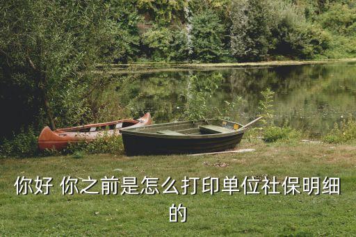 你好 你之前是怎么打印單位社保明細(xì)的