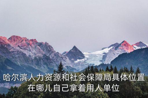 哈爾濱人力資源和社會(huì)保障局具體位置在哪兒自己拿著用人單位