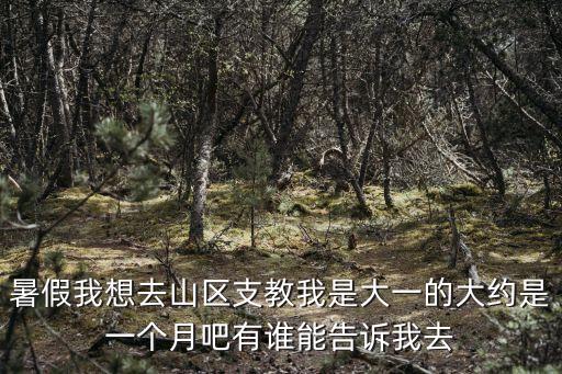 暑假我想去山區(qū)支教我是大一的大約是一個月吧有誰能告訴我去