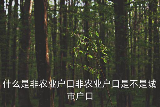 非農業(yè)，非農業(yè)戶口類型是什么意思