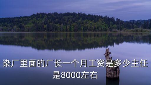 染廠里面的廠長一個(gè)月工資是多少主任是8000左右