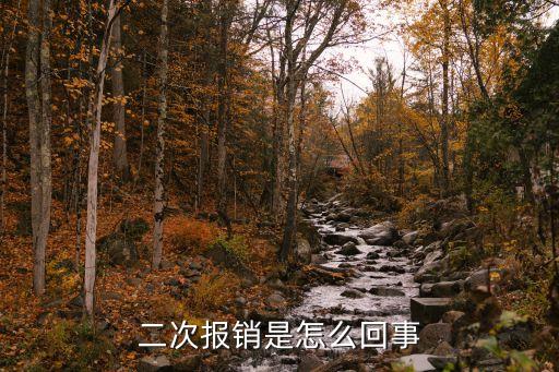 二次報(bào)銷(xiāo)是怎么回事
