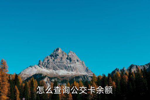 怎么查詢公交卡余額