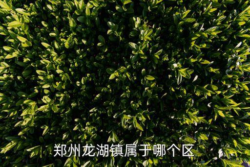 鄭州龍湖鎮(zhèn)屬于哪個區(qū)