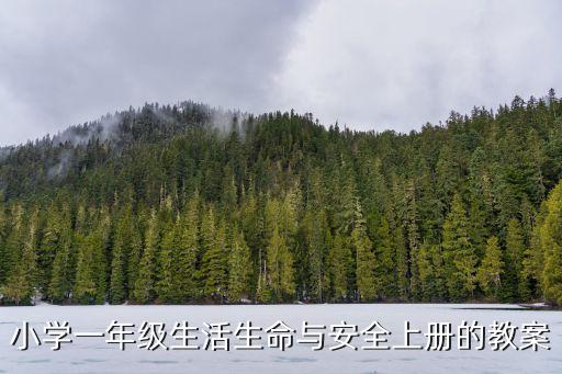 小學(xué)一年級(jí)生活生命與安全上冊(cè)的教案