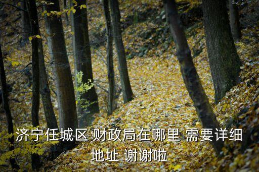 濟(jì)寧任城區(qū) 財(cái)政局在哪里 需要詳細(xì)地址 謝謝啦
