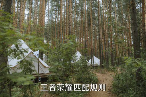 匹配原則，低噪聲放大器輸入端和輸出端匹配原則是什么阻抗匹配的目的是什么
