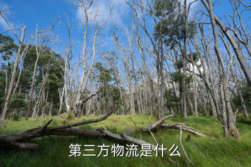 第三方物流是什么