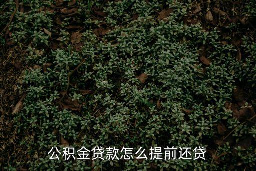 公積金貸款提前還，公積金提前還貸如何辦理