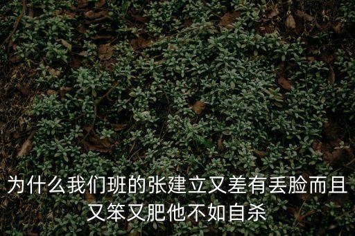 張建立，為什么我們班的張建立又差有丟臉而且又笨又肥他不如自殺