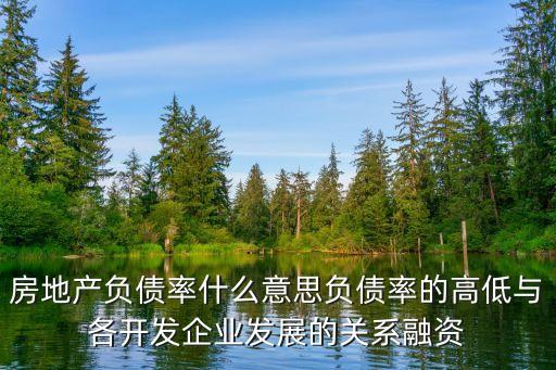 負債率是什么意思，負債率怎么理解