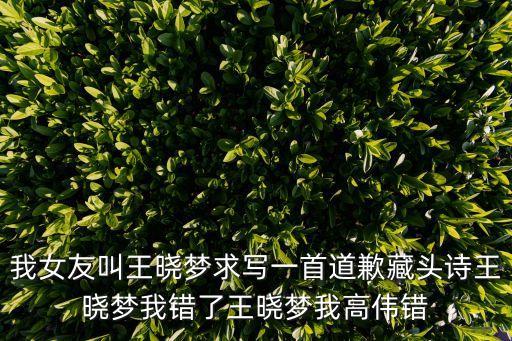 我女友叫王曉夢(mèng)求寫(xiě)一首道歉藏頭詩(shī)王曉夢(mèng)我錯(cuò)了王曉夢(mèng)我高偉錯(cuò)