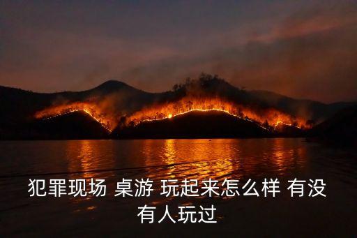 犯罪現(xiàn)場(chǎng) 桌游 玩起來怎么樣 有沒有人玩過