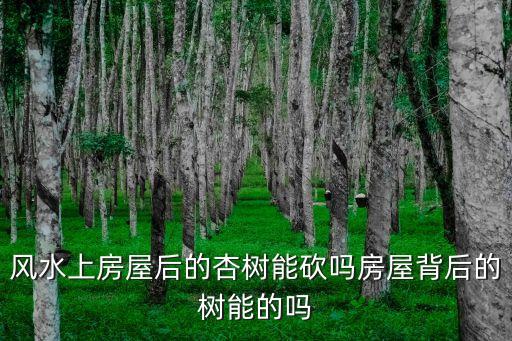 屋后必須砍的大樹，風(fēng)水上房屋后的杏樹能砍嗎房屋背后的樹能的嗎