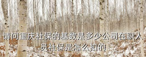 請問重慶社保的基數(shù)是多少公司在職人員社保是怎么扣的