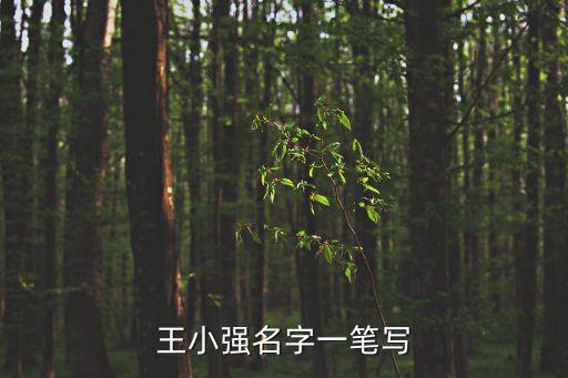 王小強名字一筆寫