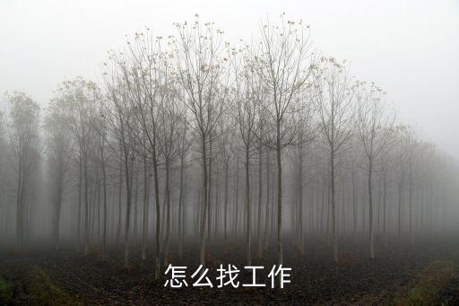 怎么找工作