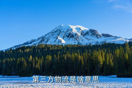 第三方物流是啥意思