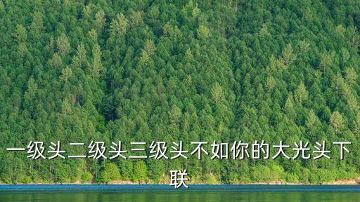 一級(jí)頭，一級(jí)頭二級(jí)頭三級(jí)頭不如你的大光頭下聯(lián)
