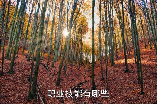 職業(yè)技能有哪些