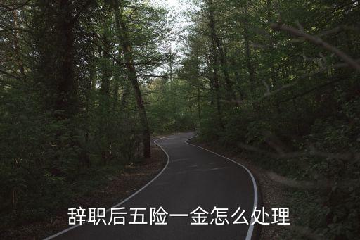 辭職后五險一金怎么處理