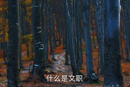 文職是什么意思，什么是文職
