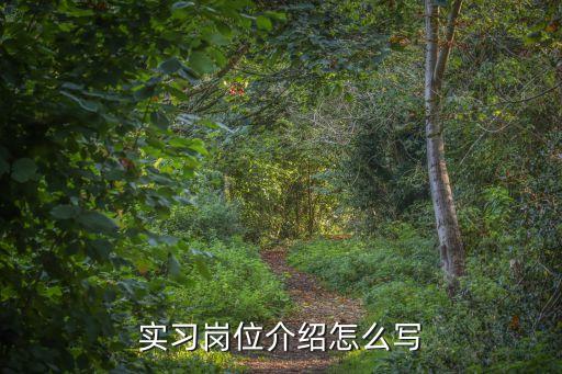 見習崗位，請問會計實習崗位有哪些