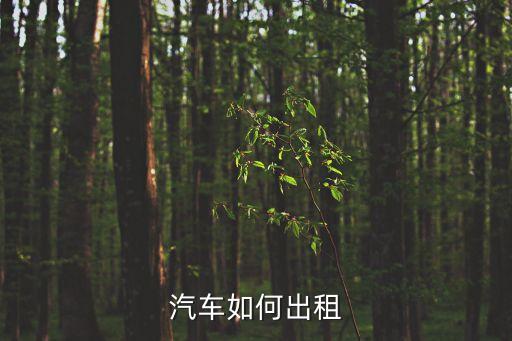客車租賃，云南汽車租賃公司怎么注冊