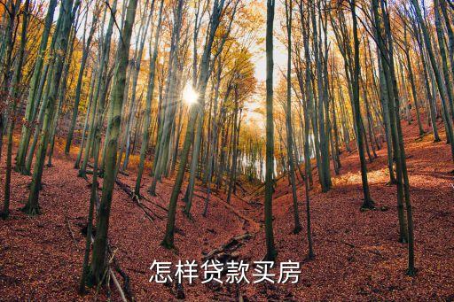 貸款買房，有關(guān)貸款買房