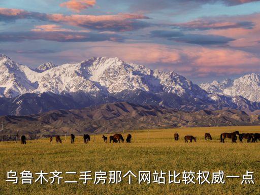 新疆二手房，新疆最好的二手房產(chǎn)網(wǎng)站怎么找不到呀 哎 困惑