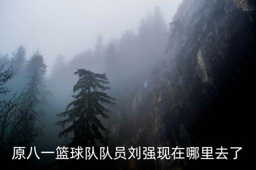 原八一籃球隊隊員劉強現(xiàn)在哪里去了