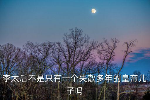 李太后不是只有一個失散多年的皇帝兒子嗎
