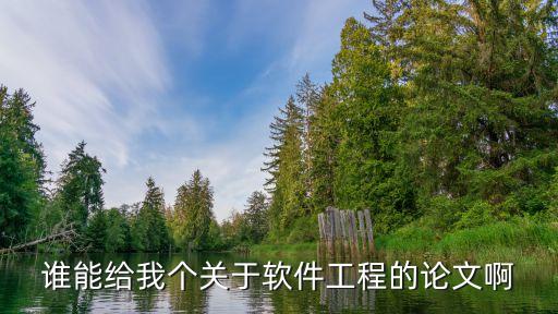 誰(shuí)能給我個(gè)關(guān)于軟件工程的論文啊
