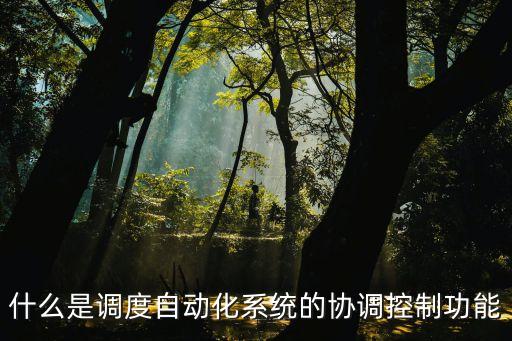協(xié)調(diào)控制，協(xié)調(diào)控制系統(tǒng)的運行方式有哪幾種