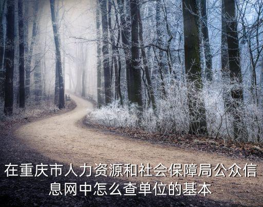 在重慶市人力資源和社會保障局公眾信息網(wǎng)中怎么查單位的基本