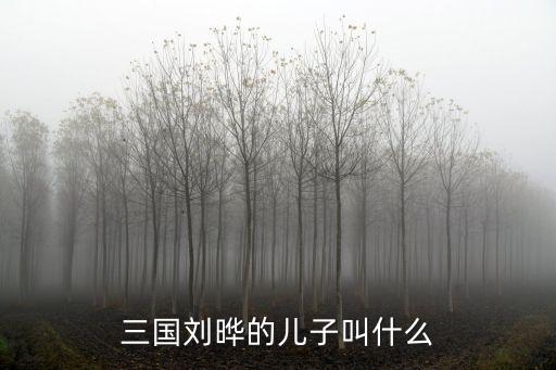 三國劉曄的兒子叫什么