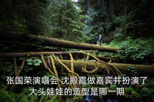 張國榮演唱會 沈殿霞做嘉賓并扮演了大頭娃娃的造型是哪一期
