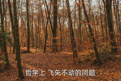 飛矢不動，飛矢不動是唯心主義嗎