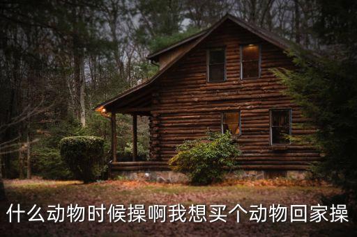 操啊啊啊啊，什么動(dòng)物時(shí)候操啊我想買個(gè)動(dòng)物回家操