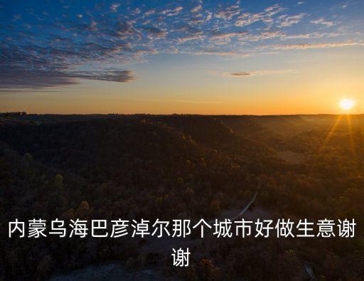 內(nèi)蒙烏海巴彥淖爾那個城市好做生意謝謝