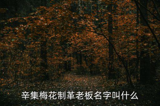 辛集梅花制革老板名字叫什么