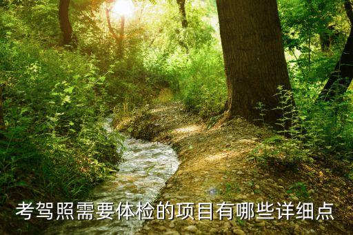 考駕照需要體檢的項(xiàng)目有哪些詳細(xì)點(diǎn)